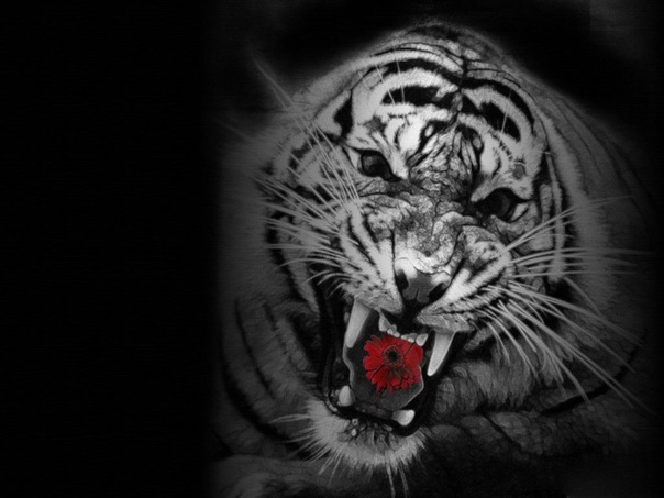 Николай Поздняков