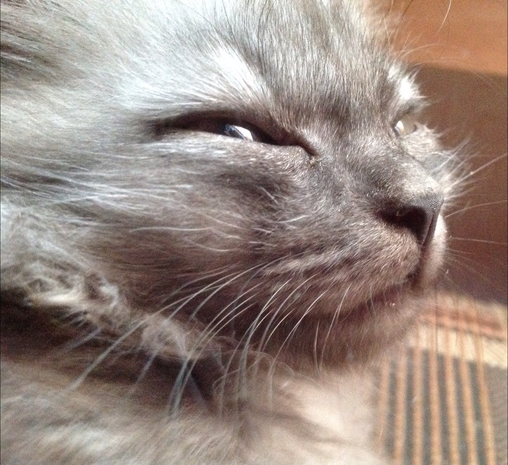 Никита Назаренко