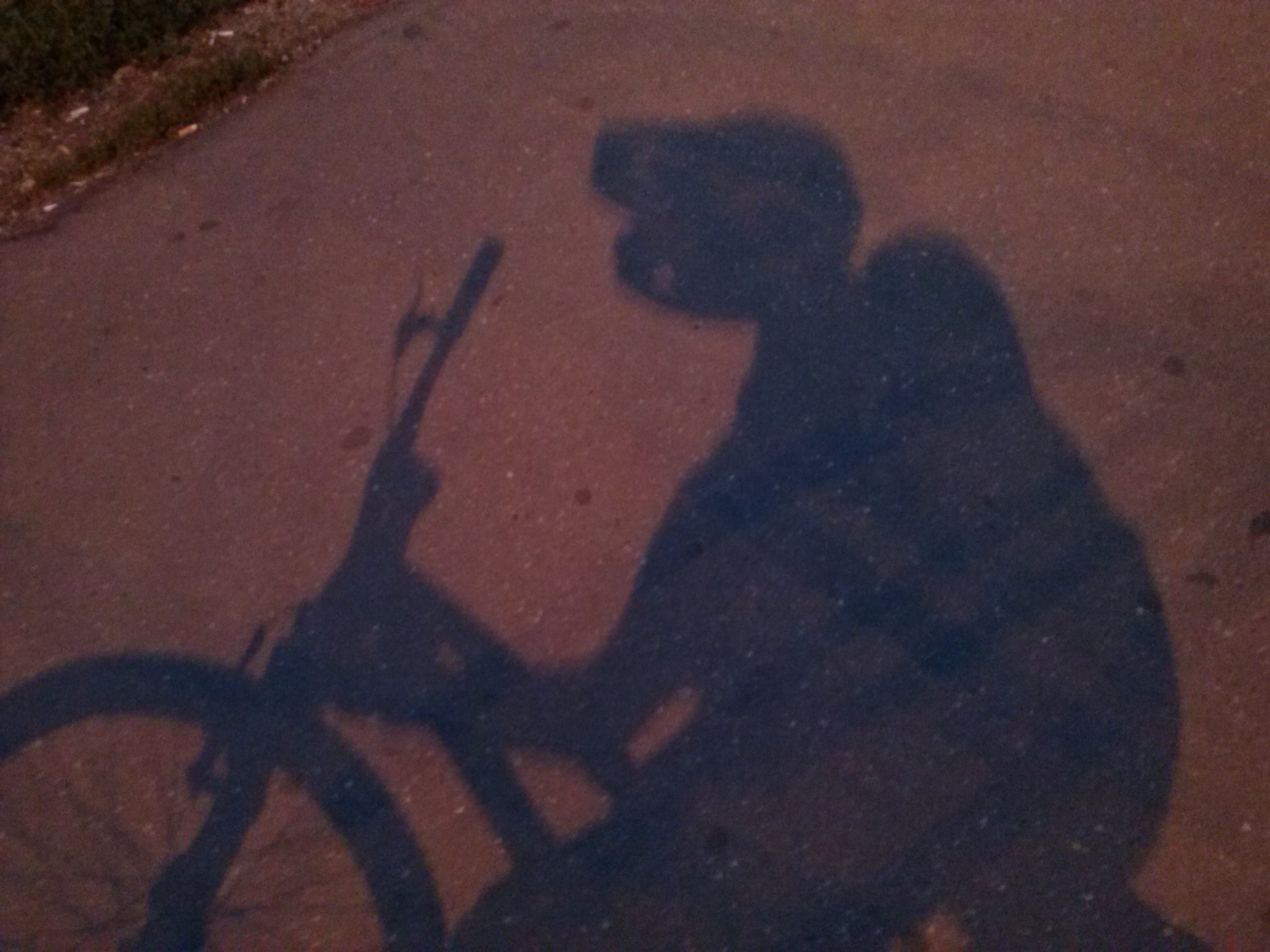 Тихон Смирнов