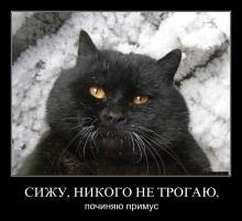 Дмитрий Гриценко