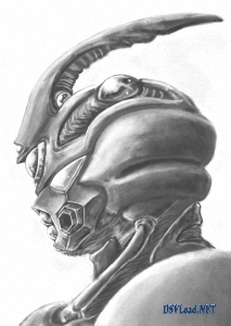 сергей кучменко