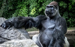 Сергей Кулаков