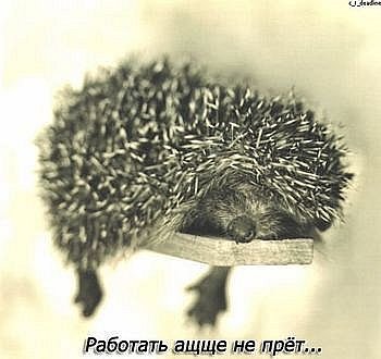 Александр_52