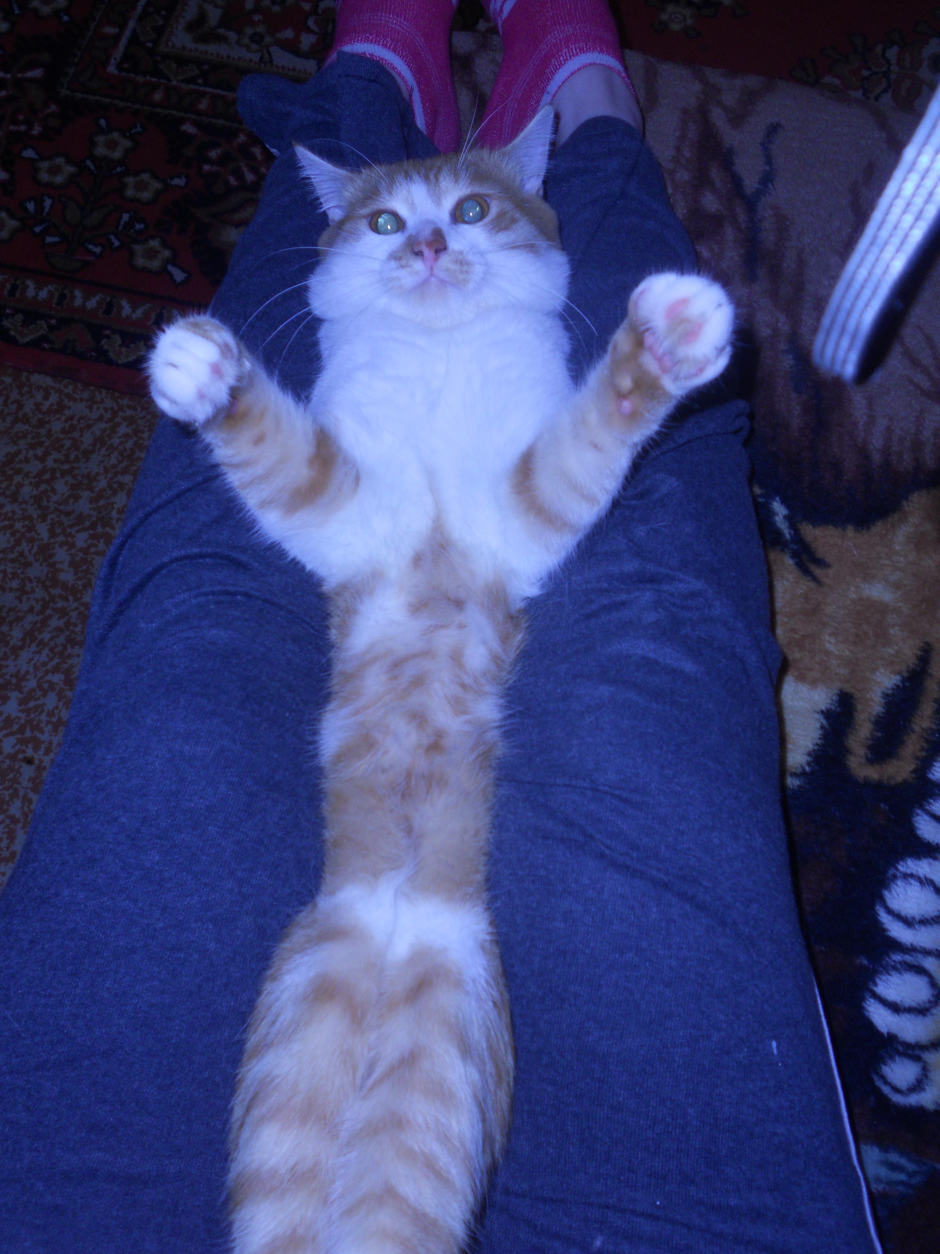 Максим Голубев