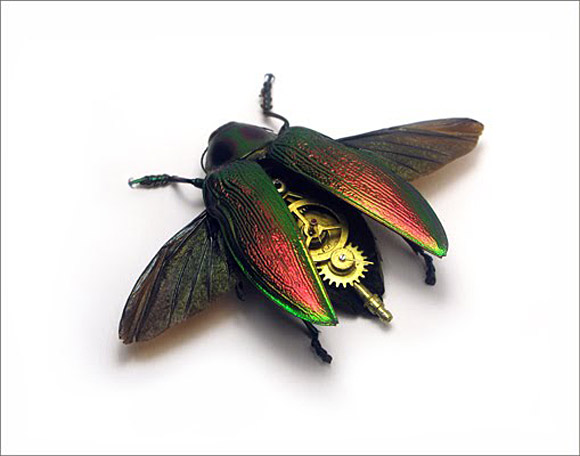 Арсений Волков