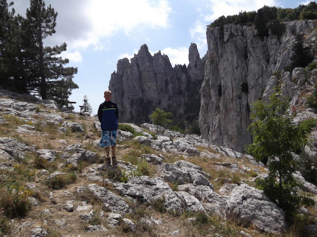 Михаил Алексеев