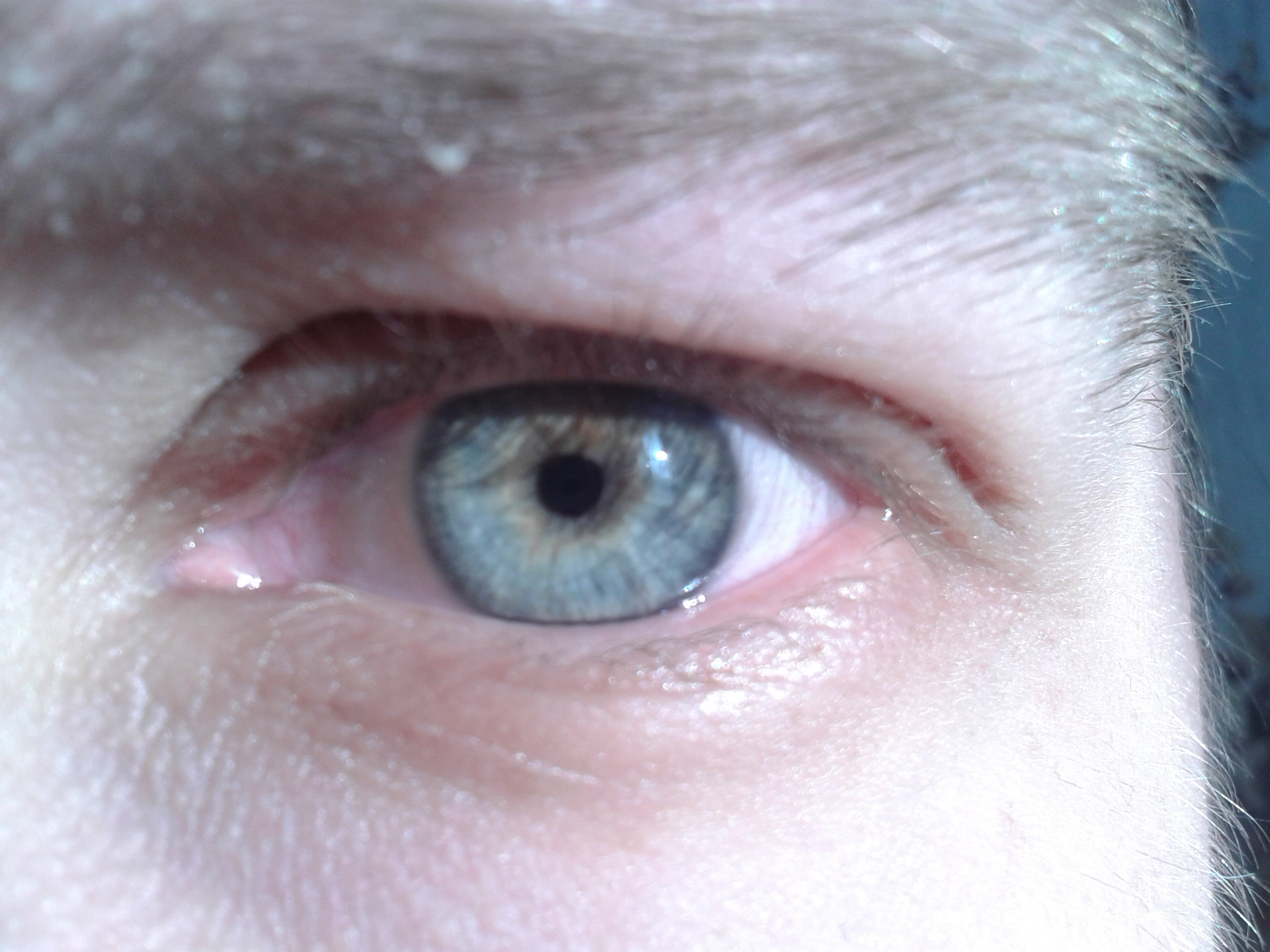 Николай Куприн