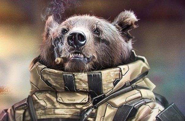 Донбасс за Свободу