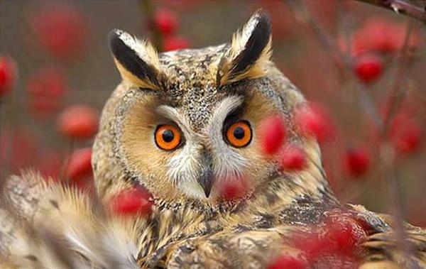 Сергей Бондаренко