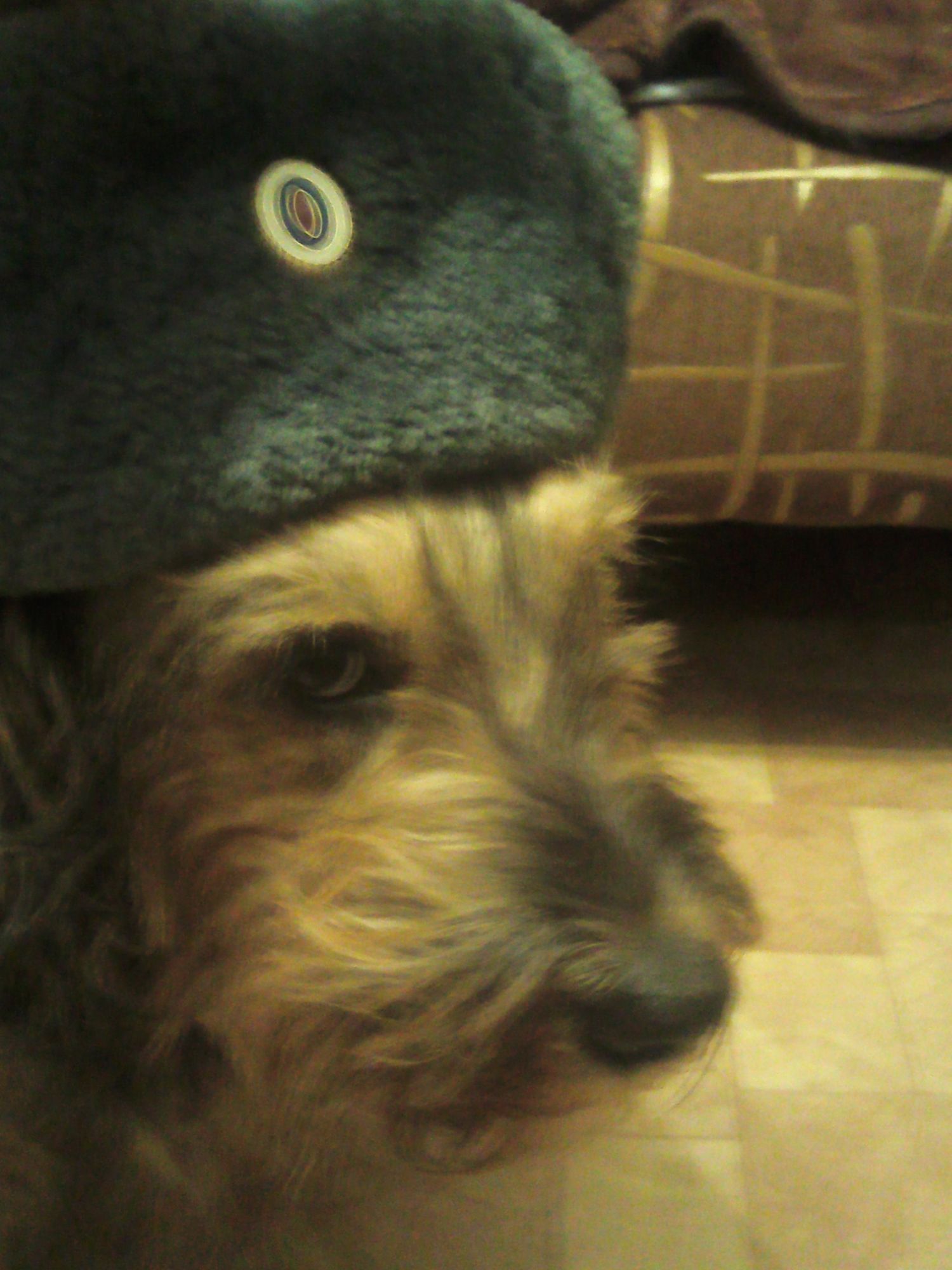 Игорь Михайлюк