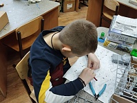 Рисунок