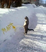Рисунок