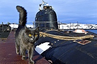 Рисунок