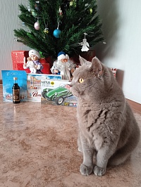 Рисунок