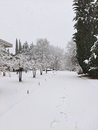 Рисунок