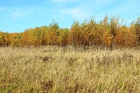 Рисунок
