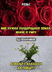 Рисунок