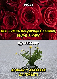 Рисунок