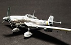 Junkers Ju-87 D-5N 1/72~Автор: Эдуард  (Ed Flancer)