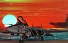 F-14D "Super Tomcat"~Автор: Эдуард  (Ed Flancer)