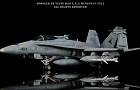 F/A-18C "Hornet" AA403 VFA-81"Sunliners" January 1991~Автор: Yufei Mao (Yufei Mao)