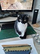 Дмитрий Неважно