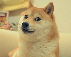 Владислав Балабанов